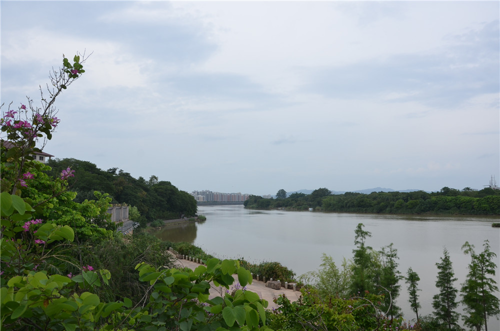 國(guó)務(wù)院：聚焦企業(yè)關(guān)切，進(jìn)一步推動(dòng)優(yōu)化營(yíng)商環(huán)境政策落實(shí)